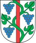 Coat of arms of Weinfelden