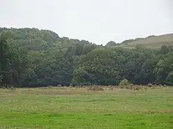 Location of West Ringstead