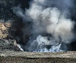 White-tailed tropicbird flying directly over the Halemaʻumaʻu vent, 2008