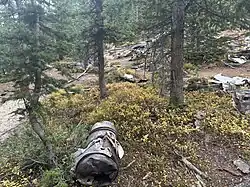 Pieces of metal airplane wreckage lie scattered on a dirt slope surrounded by tall pine trees. The wreckage is bent and torn, with yellow-green plants visible around it. The forested hillside is steep, and the area appears remote and rugged.