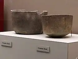 Pottery from the Winterville site