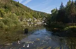 River the Saale from the bridge
