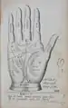 Polygraphice, Plate XXII (chiromantic right hand)