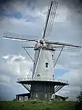 Wiatrak "den Haas" (1727) w Veere