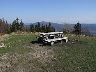 Szczyt Ćwilina i widok na Mogielicę