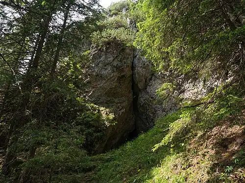 Otwór wejściowy usytuowany jest u stóp skalnej ścianki