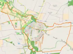Mapa konturowa Łęcznej, w centrum znajduje się punkt z opisem „Stare Miasto”