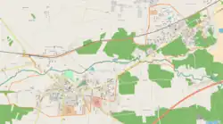 Mapa konturowa Łasku, po prawej nieco u góry znajduje się punkt z opisem „Kolumna-Las”