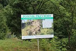 Tablica informacyjna pomnika przyrody