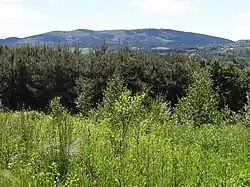 Łopusze, widok z Muchówki