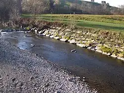 Łososina w Piekiełku