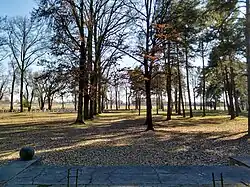 Widok w kierunku południowym