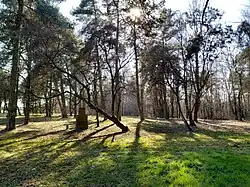 Zachodnia część cmentarza