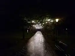 Park Miejski nocą