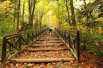 Świętokrzyski Park Narodowy