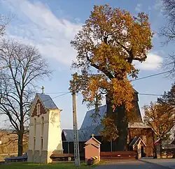 Widok od strony zachodniej