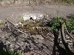 Wypływ wody w rumoszu skalnym