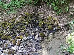 Wypływ wody w rumoszu skalnym