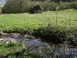 Potok wypływający ze źródła