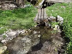 Potok z Ruskiego Źródła uchodzący do Sąspówki