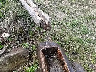 Źródło na Jasieniu