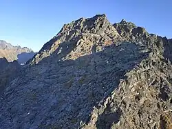 Widok z Żabiego Mnicha