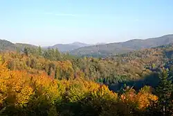 Widok na Bieszczady Wysokie