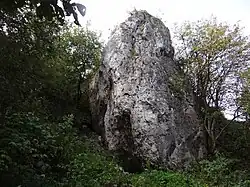 Żytnia Skała VI z otworem jaskini u podstawy