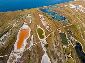 Słone jeziora i bagna w północnej części wyspy (2020)