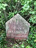 Jedna z mogił rodziny Jabłońskich: grób Józefy Jabłońskiej (zm. 9 września 1886 r.)