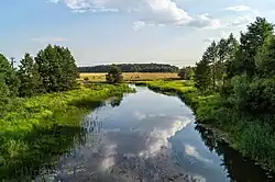 Rzeka Serwecz obok wioski