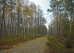 Tereny łowieckie we wsi Suchołuczczia