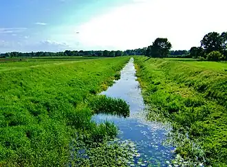 Jeden z kanałów nawadniających (2009)