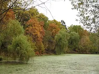 Park im. Nikołaja Makłaja