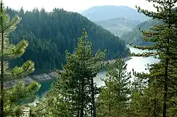 Widok na rzekę Tara