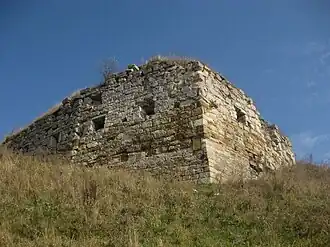 Zamek Odrowążów w Zinkowie