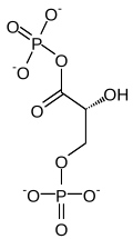 1,3-bisfosfoglicerynian