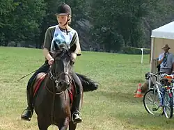 Rudawka Rymanowska. 2009