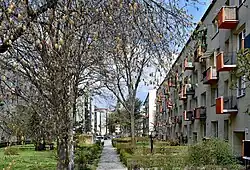 Osiedle Kolorowe 13 i 12.