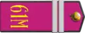 Pagon młodszego sierżanta piechoty Armii Czerwonej do munduru wyjściowego i galowego (1943–1955)