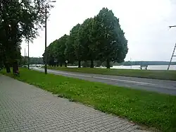 Ulica 1 Maja przed skrzyżowaniem z ul. Sportową i Folwarczną