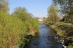 Graniczna rzeka Opawica w Chomiąży (kwiecień 2012)