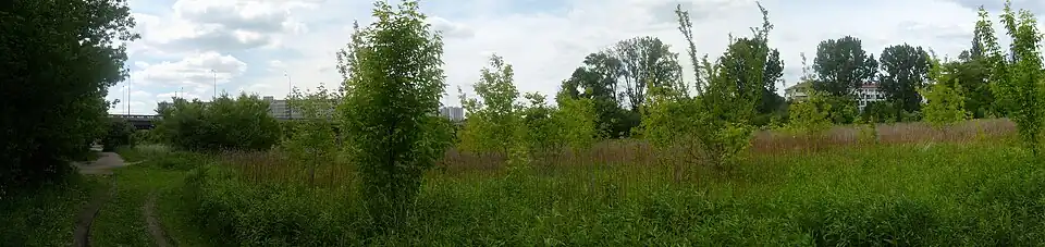 Dolina Obrzycy, w oddali widok na estakadę nad doliną Obrzycy i Osiedle Oświecenia