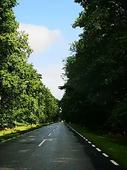 Droga nr 182 za Sierakowem, widok w kierunku Wronek (sierpień 2023)