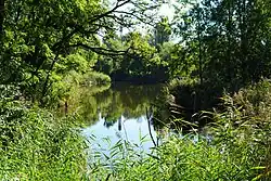 Staw od strony zachodniej