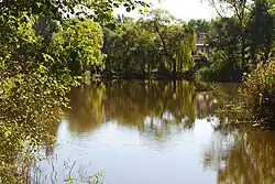 Staw Kozubek w Obrokach