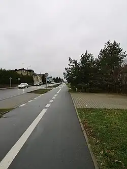 Ulica Powstańców Wielkopolskich w Szamotułach w ciągu drogi wojewódzkiej nr 185 (listopad 2023)