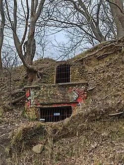 Lodownia z 1937 roku