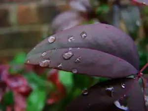 24 bity = 16 777 216 kolorów98 KB