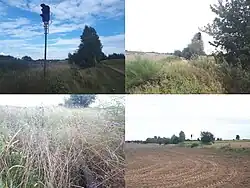 Zdjęcie LK362Dawniej Kobylin – Legnica Północna, obecnie Kobylin - Rawicz., 382Obecnie odcinek Pątnów Legnicki - Legnica Północna.